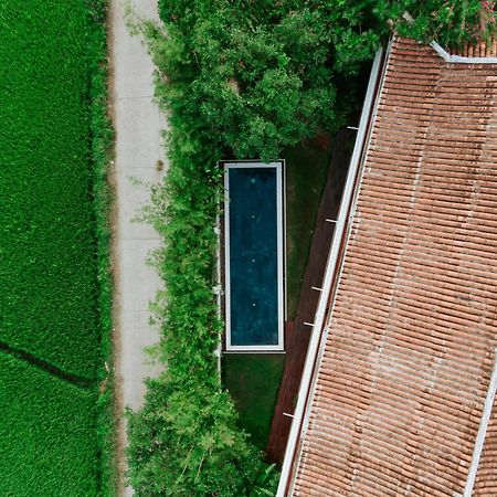 Heron House Hoi An Bagian luar foto