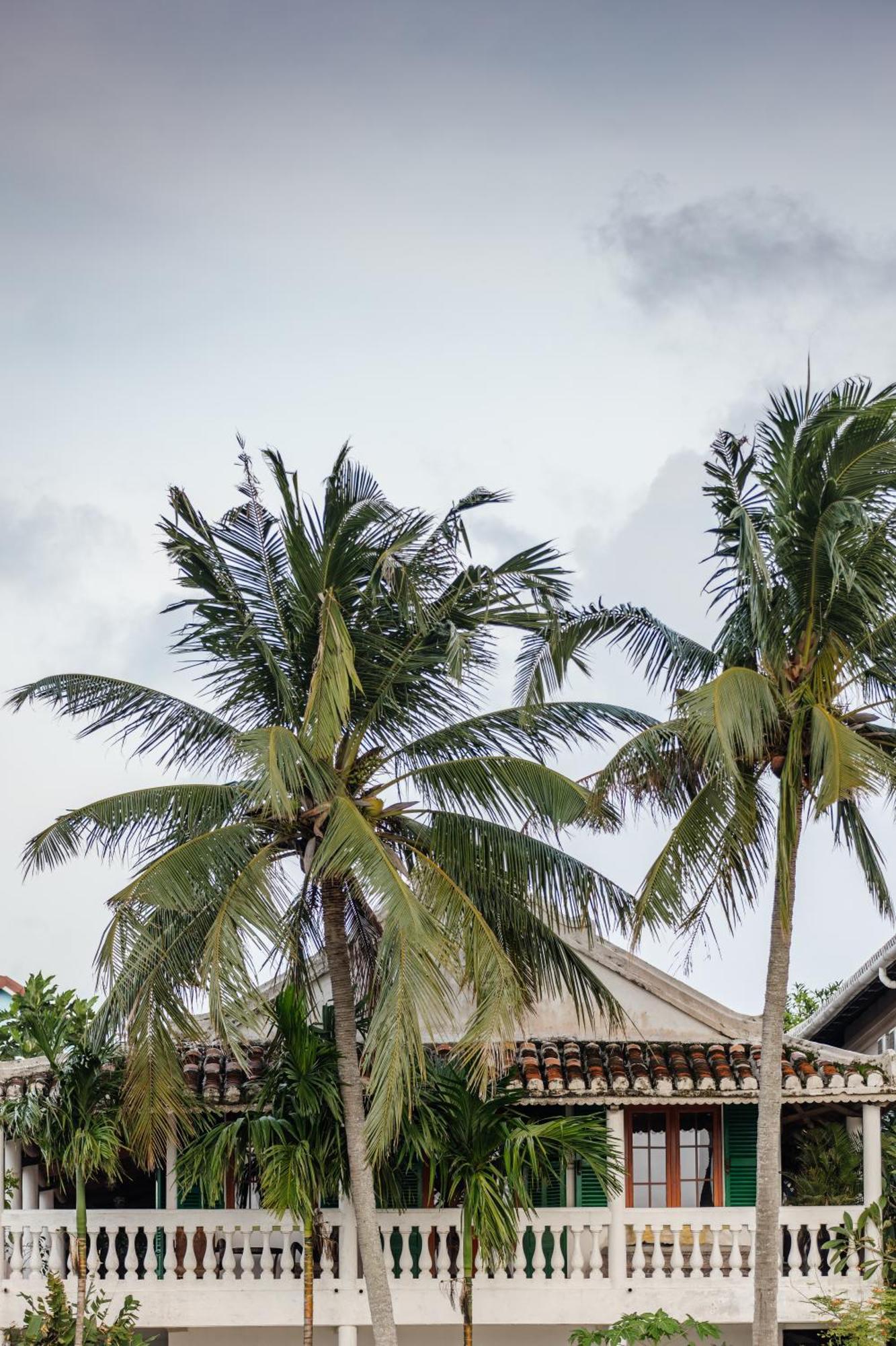 Heron House Hoi An Bagian luar foto