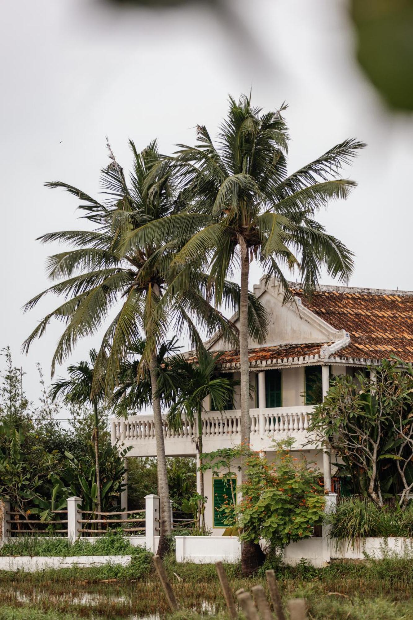 Heron House Hoi An Bagian luar foto