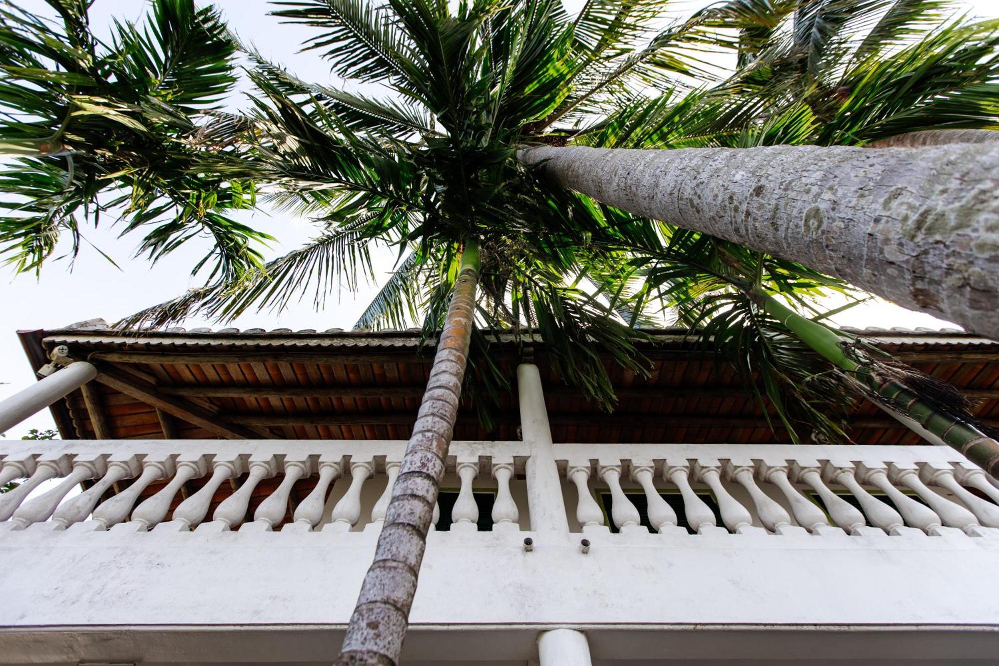Heron House Hoi An Bagian luar foto